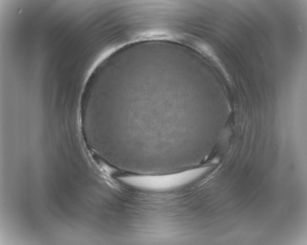 X0000066011328200603171456