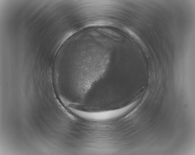 X0000066011329200603171456