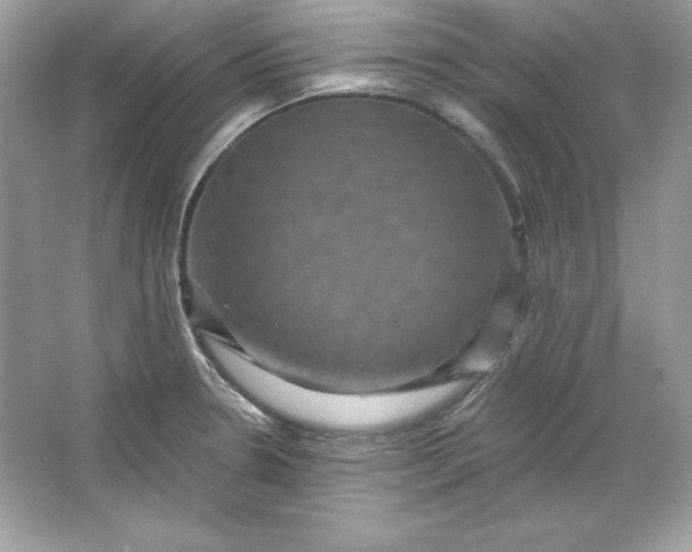 X0000066011330200603171456