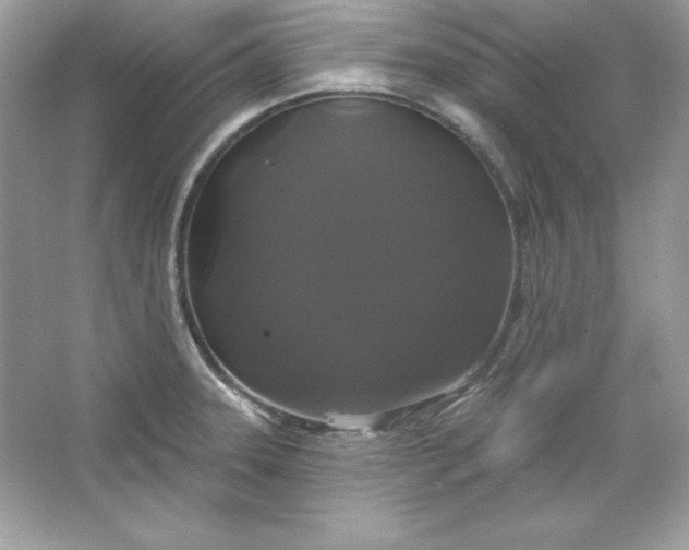 X0000066011331200603171456