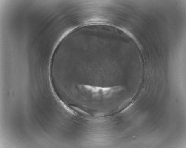 X0000066011333200603171456