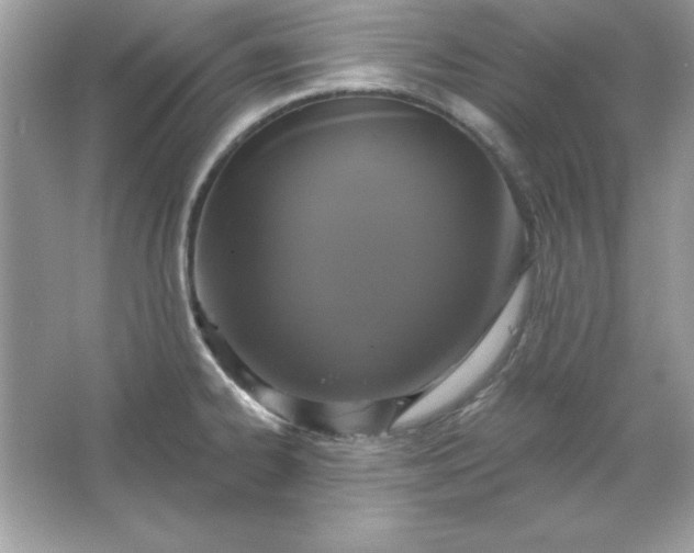 X0000066011334200603171456