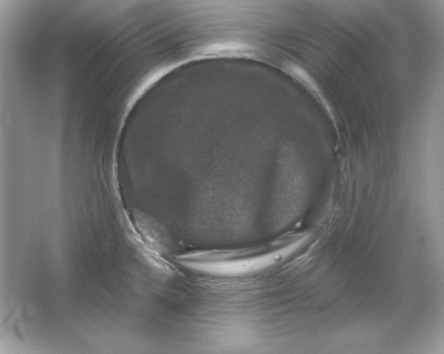 X0000066011336200603171456