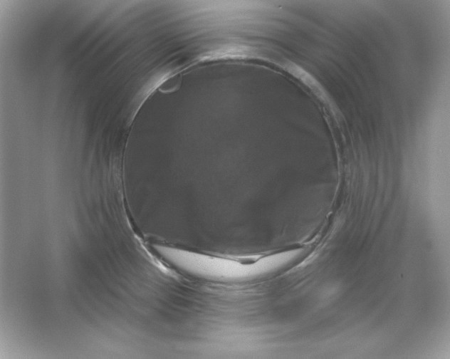 X0000066011337200603171456