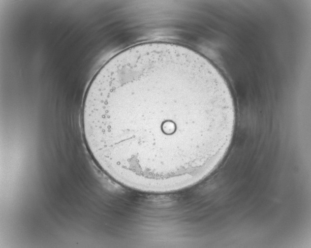 X0000066011338200603171456