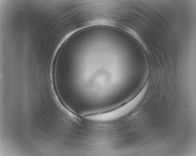 X0000066011339200603171456