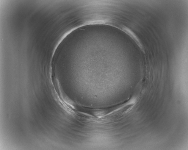 X0000066011340200603171456