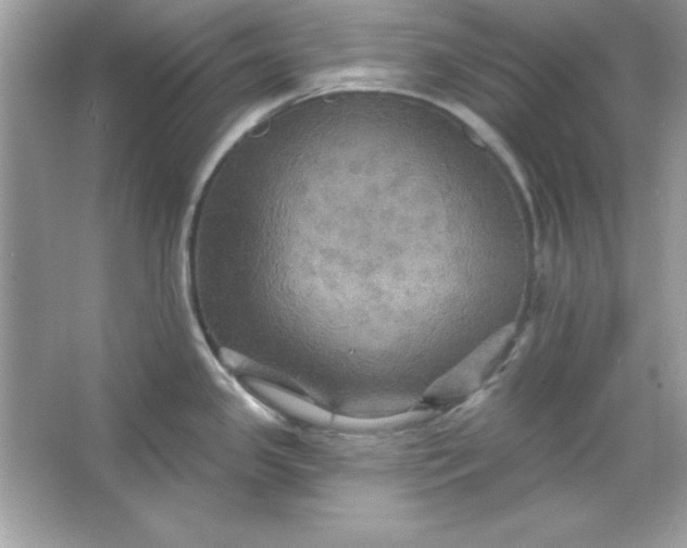 X0000066011341200603171456