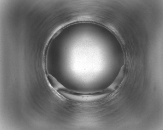 X0000066011342200603171456