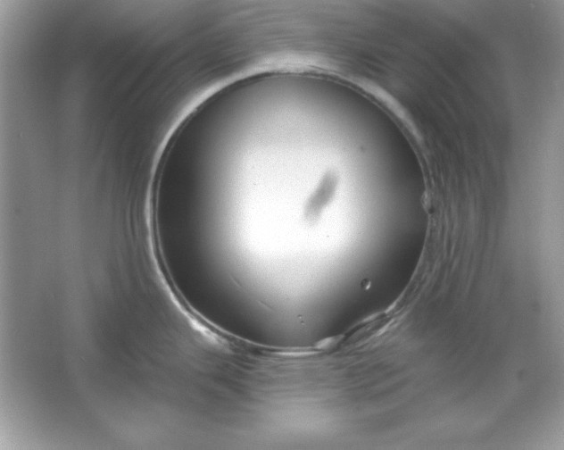 X0000066011343200603171456