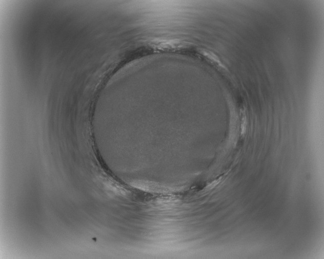 X0000066011345200603171455