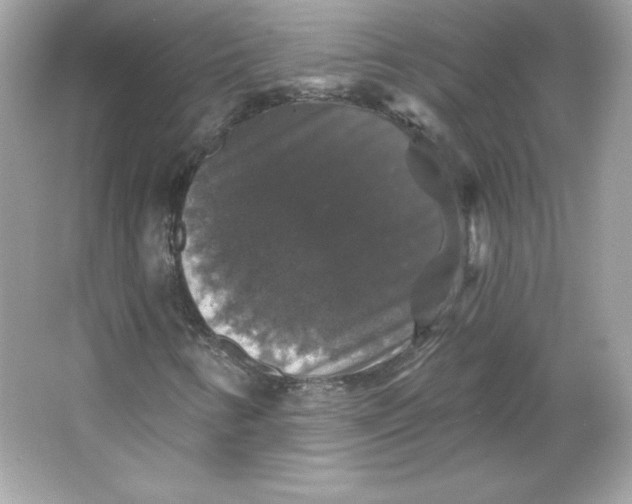 X0000066011346200603171455