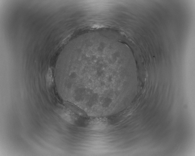 X0000066011347200603171455