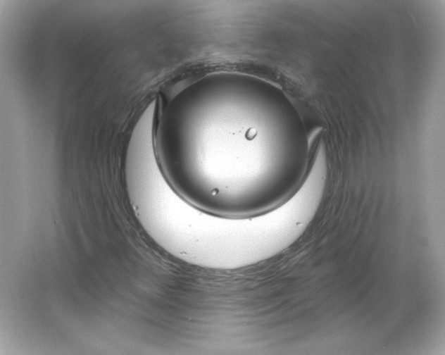 X0000066011348200603171455