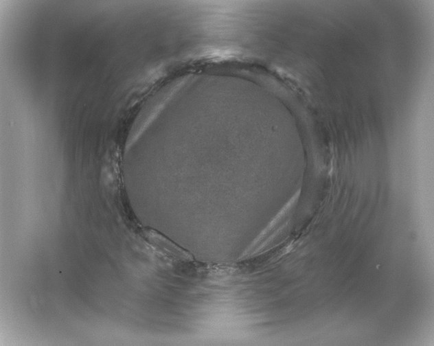 X0000066011349200603171455