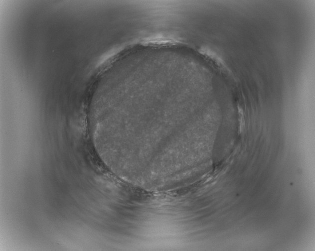 X0000066011350200603171455