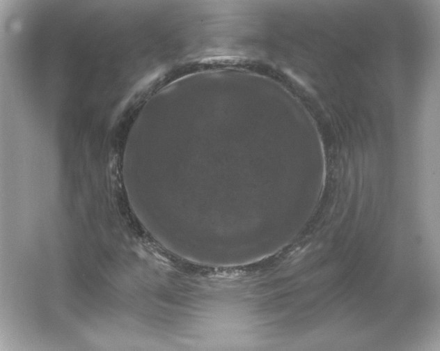 X0000066011351200603171455