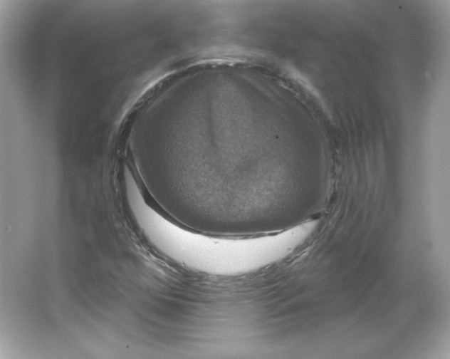 X0000066011352200603171455