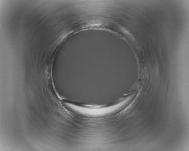 X0000066011353200603171455