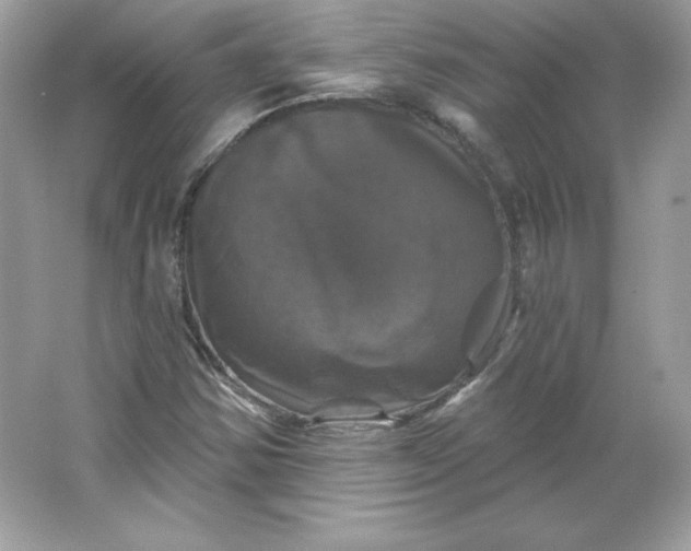 X0000066011354200603171455