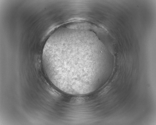 X0000066011355200603171455