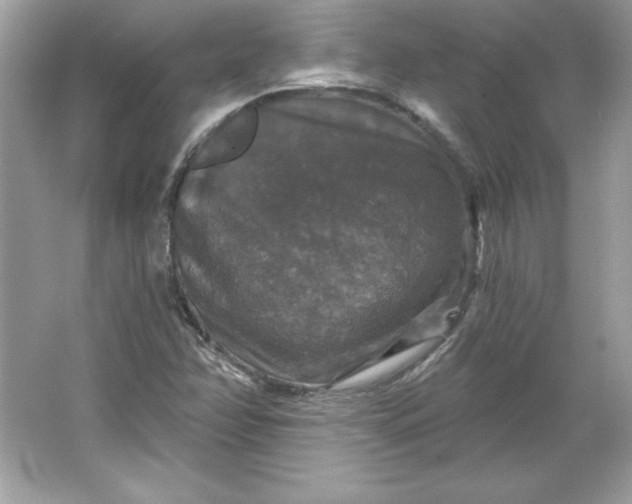 X0000066011358200603171455