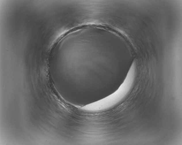 X0000066011359200603171455