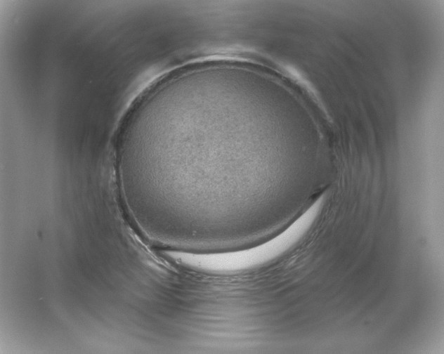 X0000066011360200603171455