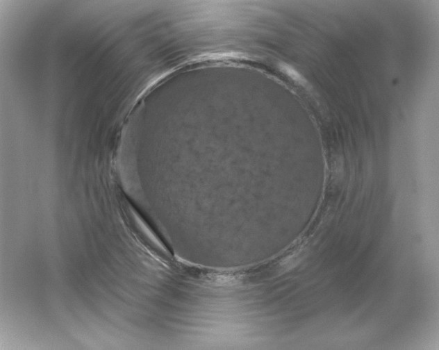 X0000066011361200603171455