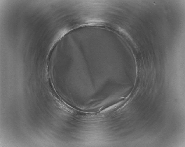 X0000066011362200603171455