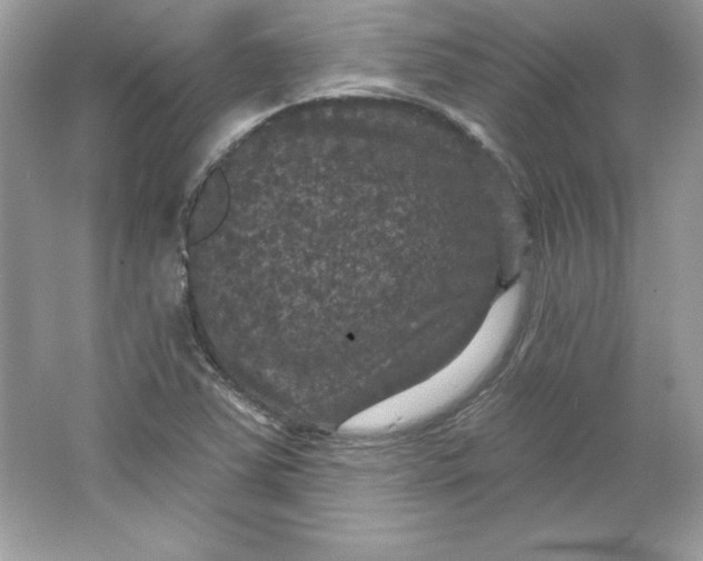 X0000066011363200603171455