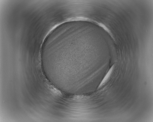 X0000066011364200603171455