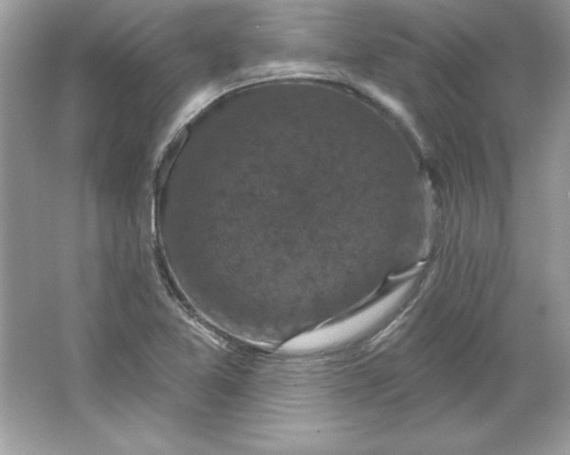 X0000066011365200603171455