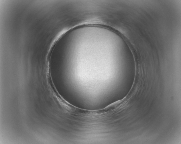 X0000066011366200603171455