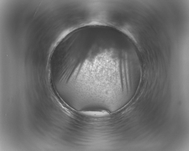 X0000066011367200603171455