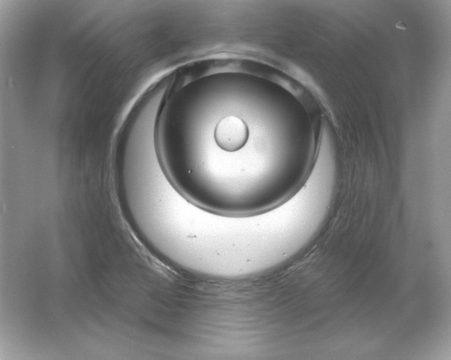 X0000066011368200603171455