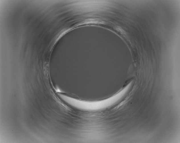 X0000066011369200603171455