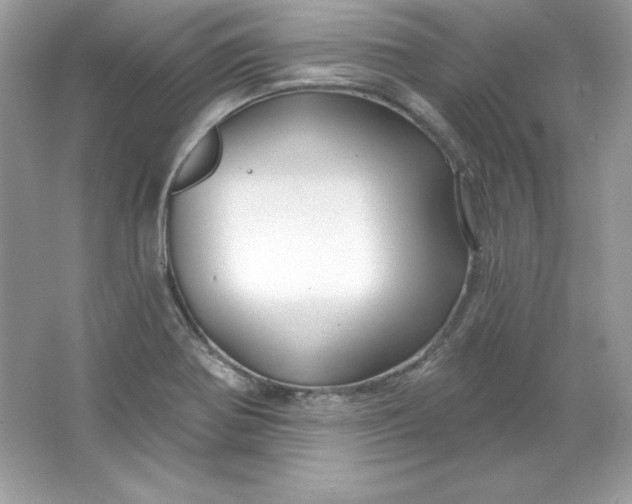 X0000066011370200603171455