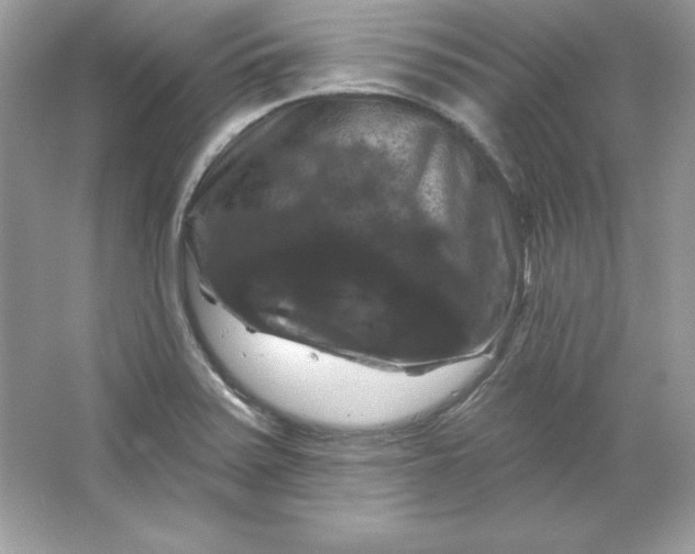 X0000066011371200603171455