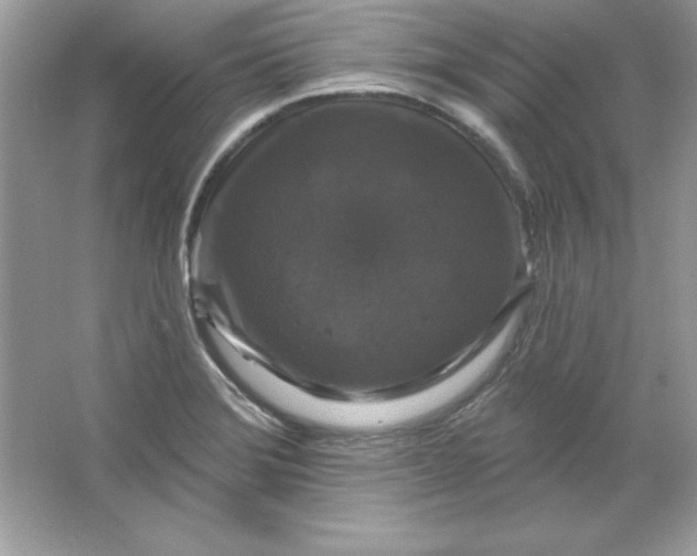 X0000066011372200603171455