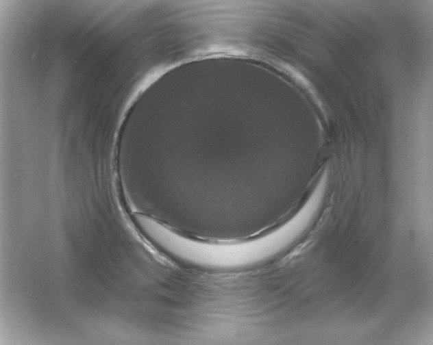 X0000066011373200603171455