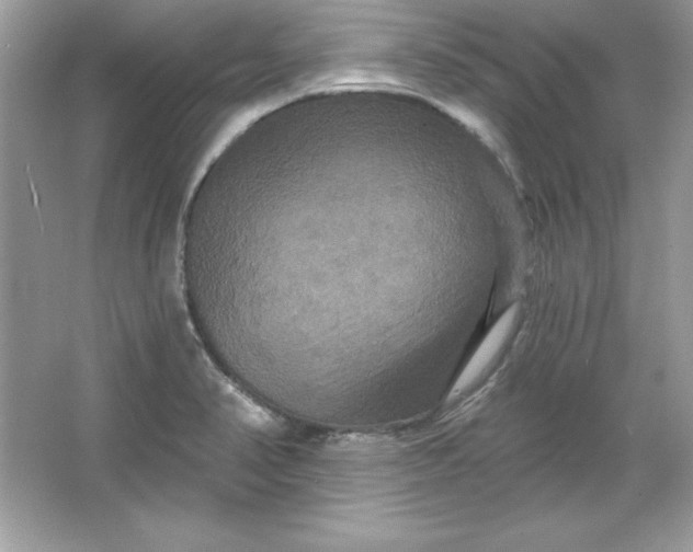 X0000066011374200603171455