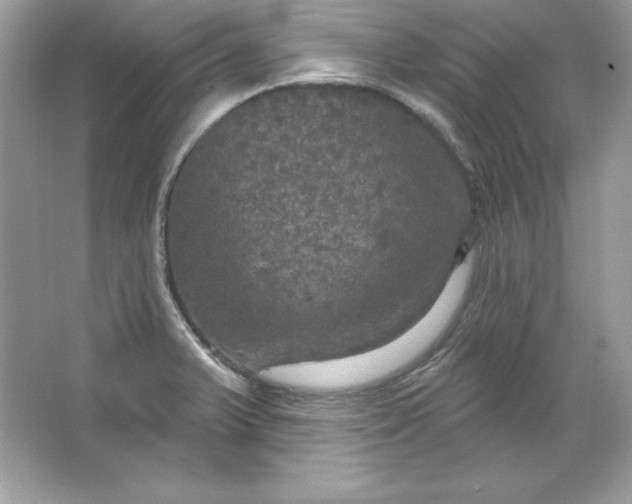 X0000066011375200603171455