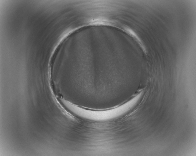 X0000066011376200603171455