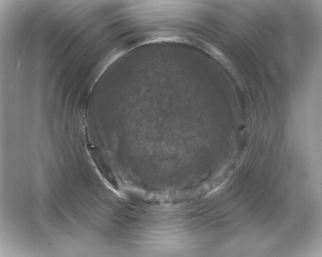 X0000066011377200603171455