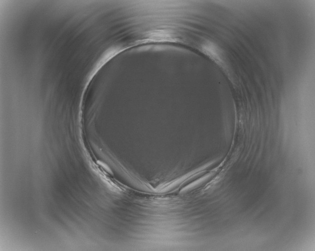 X0000066011378200603171454