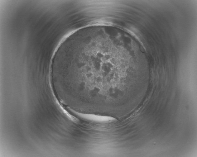 X0000066011379200603171454