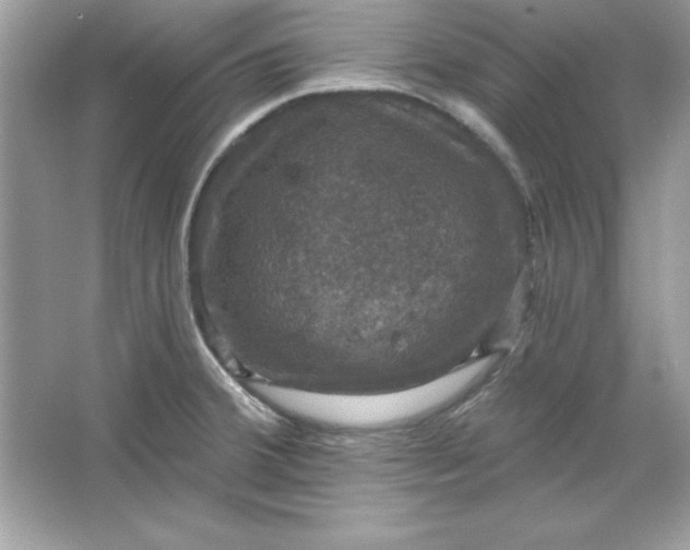 X0000066011380200603171454