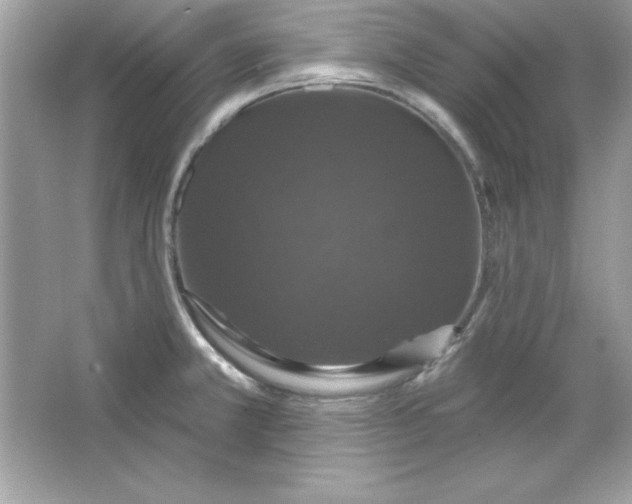 X0000066011381200603171454