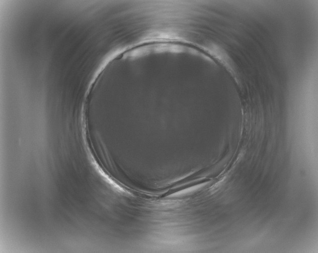 X0000066011382200603171454